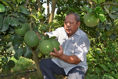 gẻherteht.JPG