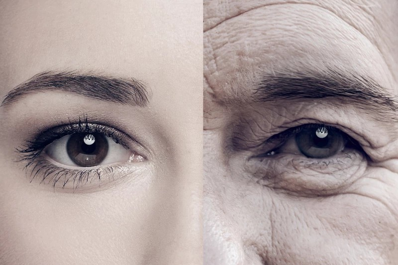 Aging process halted