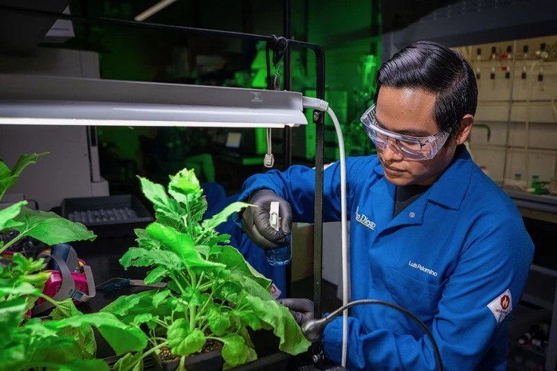 spray on coating food security